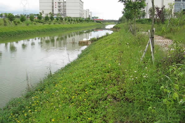 植生砼生态混凝土河道护坡